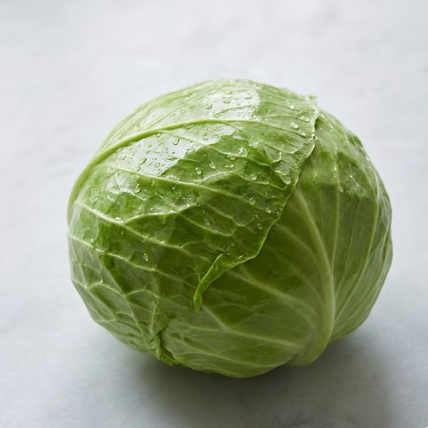 Cabbage